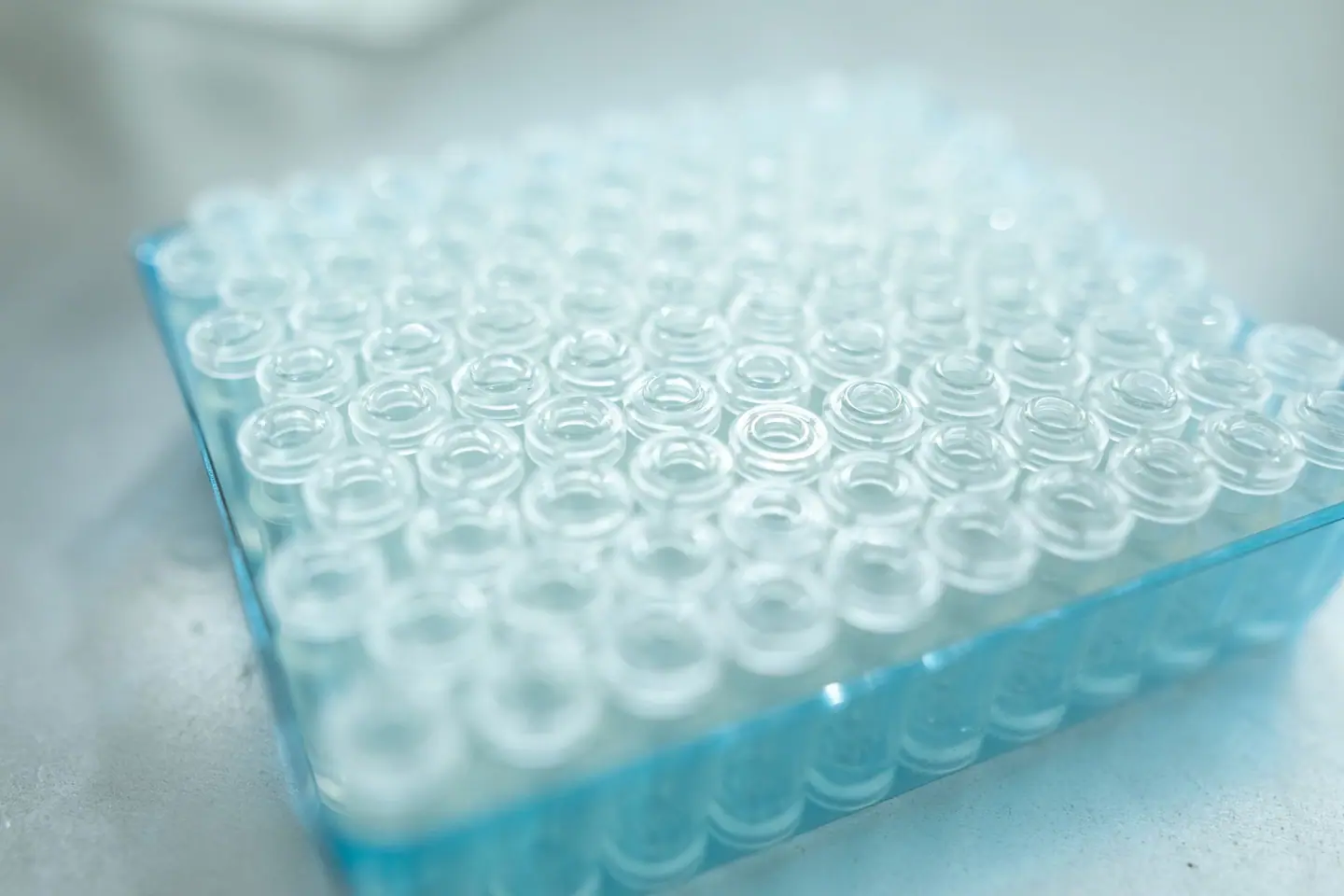 Rows of small glass vials in a laboratory tray
