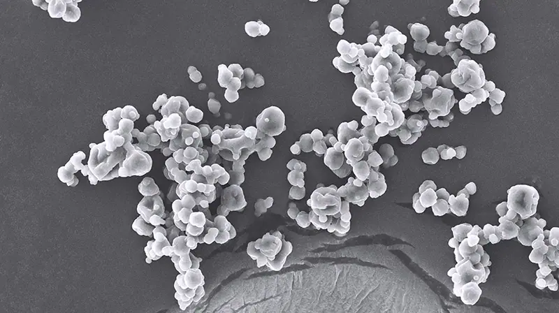 Micrograph of Vpro® micro-encapsulated probiotic particles
