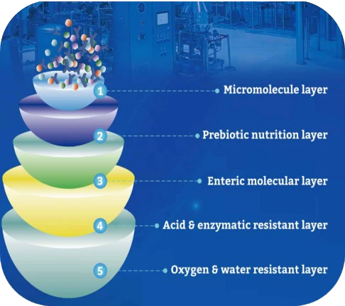 Diagram of the five Vpro® encapsulation layers