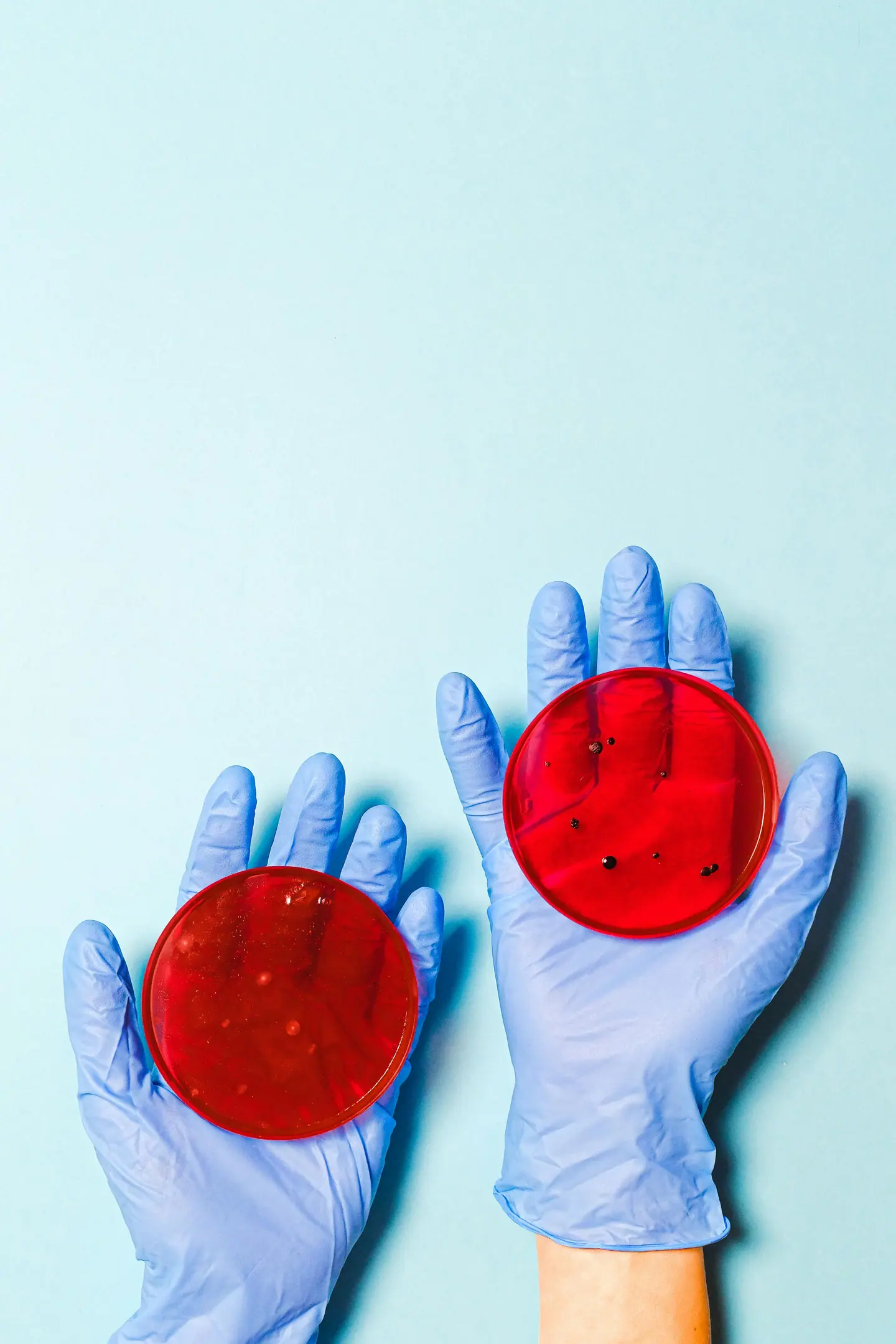 Laboratory testing of probiotic cultures